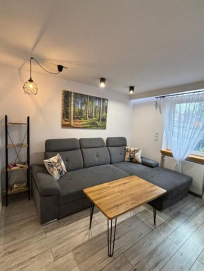 Apartament Klimatyczny z kominkiem Szklarska Poręba